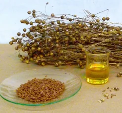 Lijnzaadolie Koudgeperst Biologisch