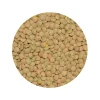 Linzen Groen Laird Biologisch