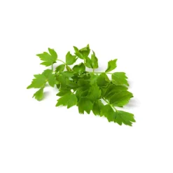 Maggikruidblad Lavas Gesneden Biologisch