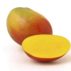 Mango Slices Gedroogd Biologisch
