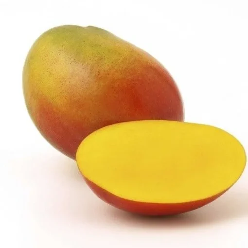 Mango Slices Gedroogd Biologisch