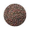Mosterdzaad Heel Bruin Sarepta Brassica Juncea Biologisch