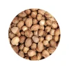 Nootmuskaat Heel Biologisch
