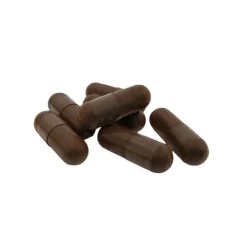 Nutrikraft - Chaga Capsules Biologisch