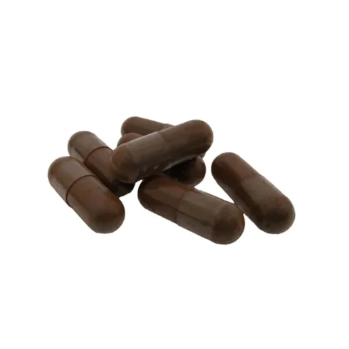 Nutrikraft - Chaga Capsules Biologisch