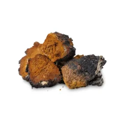 Nutrikraft - Chaga Capsules Biologisch