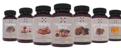 Nutrikraft - Chaga Capsules Biologisch