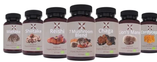 Nutrikraft - Chaga Capsules Biologisch
