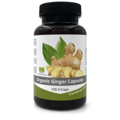 Nutrikraft - Gember Capsules 500mg Biologisch