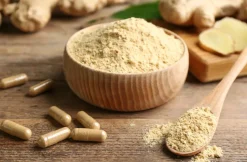 Nutrikraft - Gember Capsules 500mg Biologisch