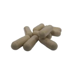 Nutrikraft - Maitake Capsules Biologisch