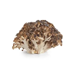 Nutrikraft - Maitake Capsules Biologisch
