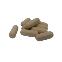 Nutrikraft - Pruikzwam (Lion's Mane) Capsules Biologisch