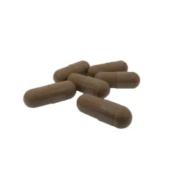 Nutrikraft - Reishi Capsules Biologisch