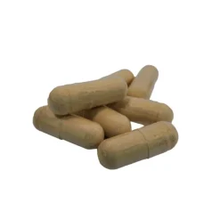 Nutrikraft - Shiitake Capsules Biologisch