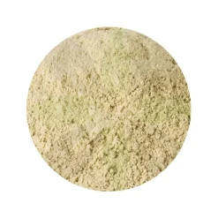 Oesterzwam Poeder Pleurotus ostreatus Biologisch