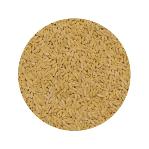Orzo (Risoni) Biologisch