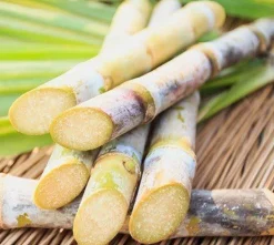 Panela Suiker Biologisch