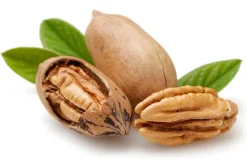 Pecannoten Biologisch
