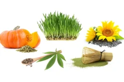 Proteïne Poeder Matcha Biologisch