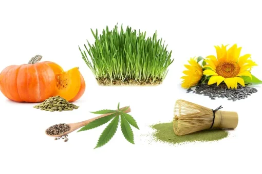 Proteïne Poeder Matcha Biologisch
