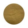 Pruikzwam (Lion's Mane) Extract 30% Biologisch
