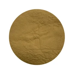 Pruikzwam (Lion's Mane) Extract 30% Biologisch