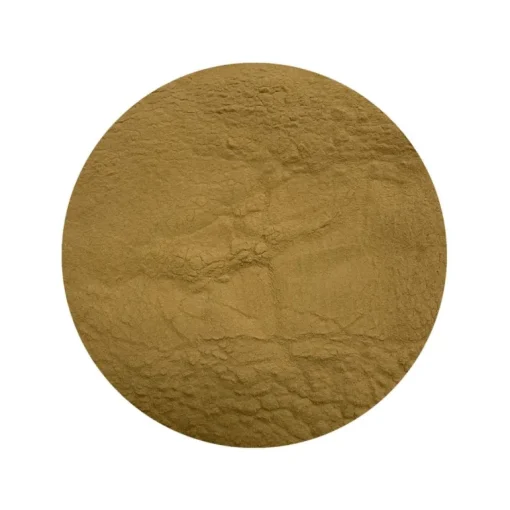 Pruikzwam (Lion's Mane) Extract 30% Biologisch