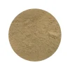 Pruikzwam Poeder Lionsmane Hericium Biologisch