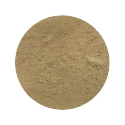 Pruikzwam Poeder Lionsmane Hericium Biologisch