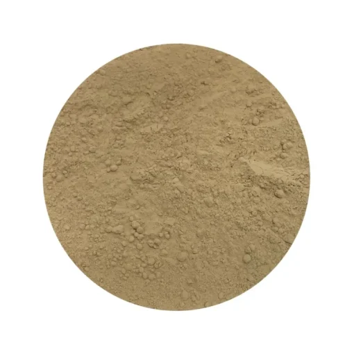 Pruikzwam Poeder Lionsmane Hericium Biologisch