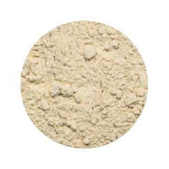 Quinoa meel Biologisch