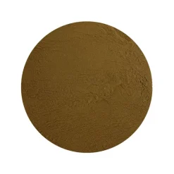 Reishi Extract 30% Biologisch