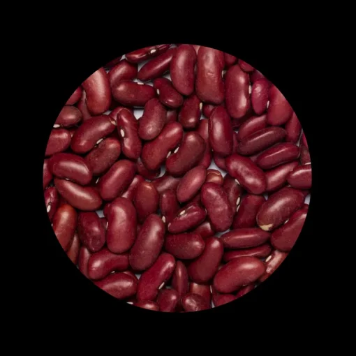 Rode Kidneybonen Biologisch