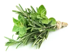 RTO Kruidenmix kiemarm Biologisch