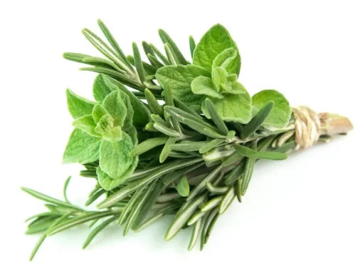 RTO Kruidenmix kiemarm Biologisch