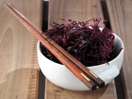 Sea Moss Poeder Biologisch