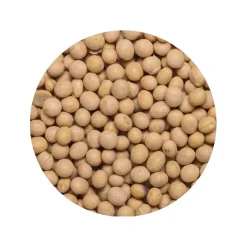 Sojabonen Ongepeld Biologisch
