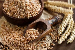 Spelt Meel Volkoren Biologisch