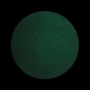 Spirulina Poeder Biologisch