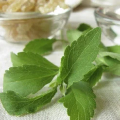 Stevia Extract Poeder RebA97
