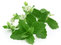 Stevia Extract Zoetjes RebA97