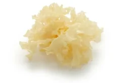 Trilzwam Poeder Tremella fuciformis Biologisch