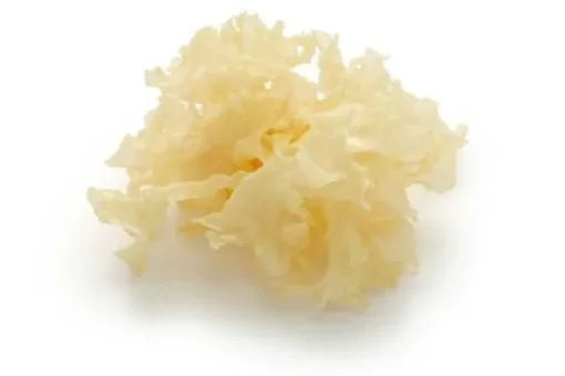 Trilzwam Poeder Tremella fuciformis Biologisch