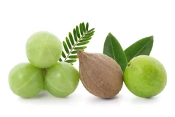 Triphala Poeder Biologisch