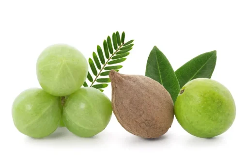 Triphala Poeder Biologisch