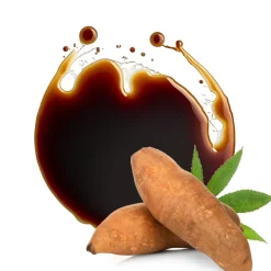 Yacon Siroop Biologisch